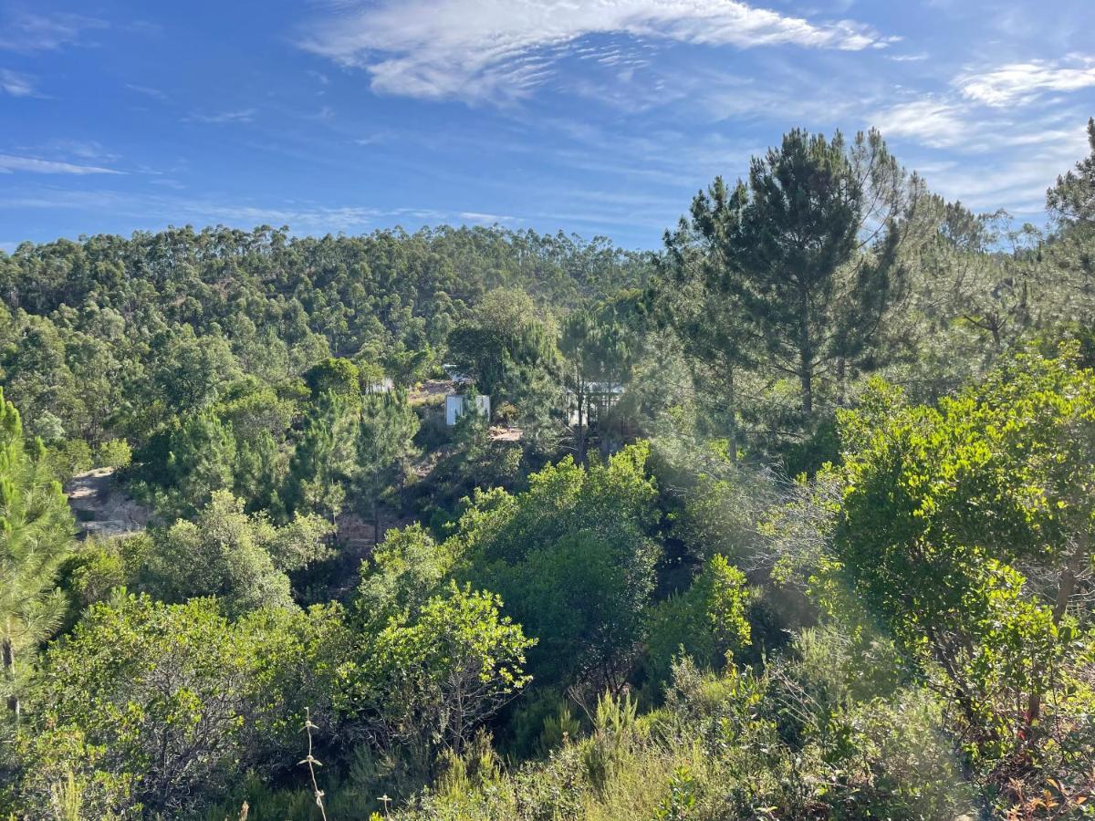 Romantic Skyview Glasshouses Rogil Exterior foto