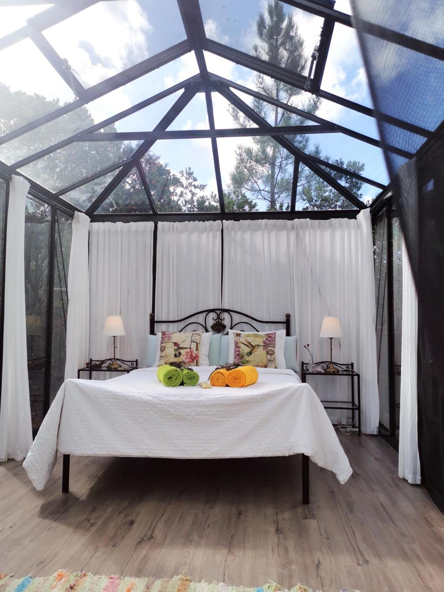 Romantic Skyview Glasshouses Rogil Exterior foto