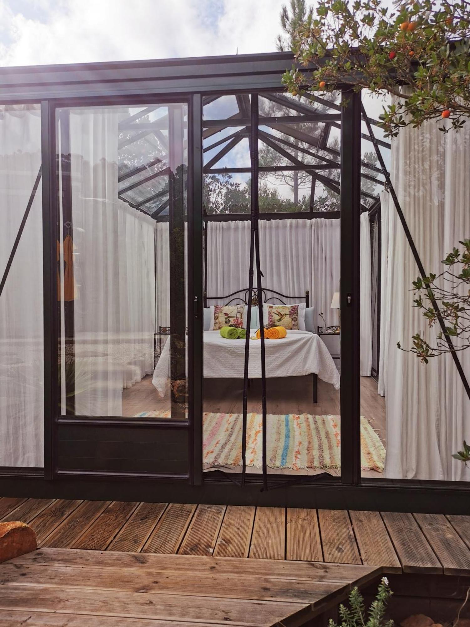 Romantic Skyview Glasshouses Rogil Exterior foto